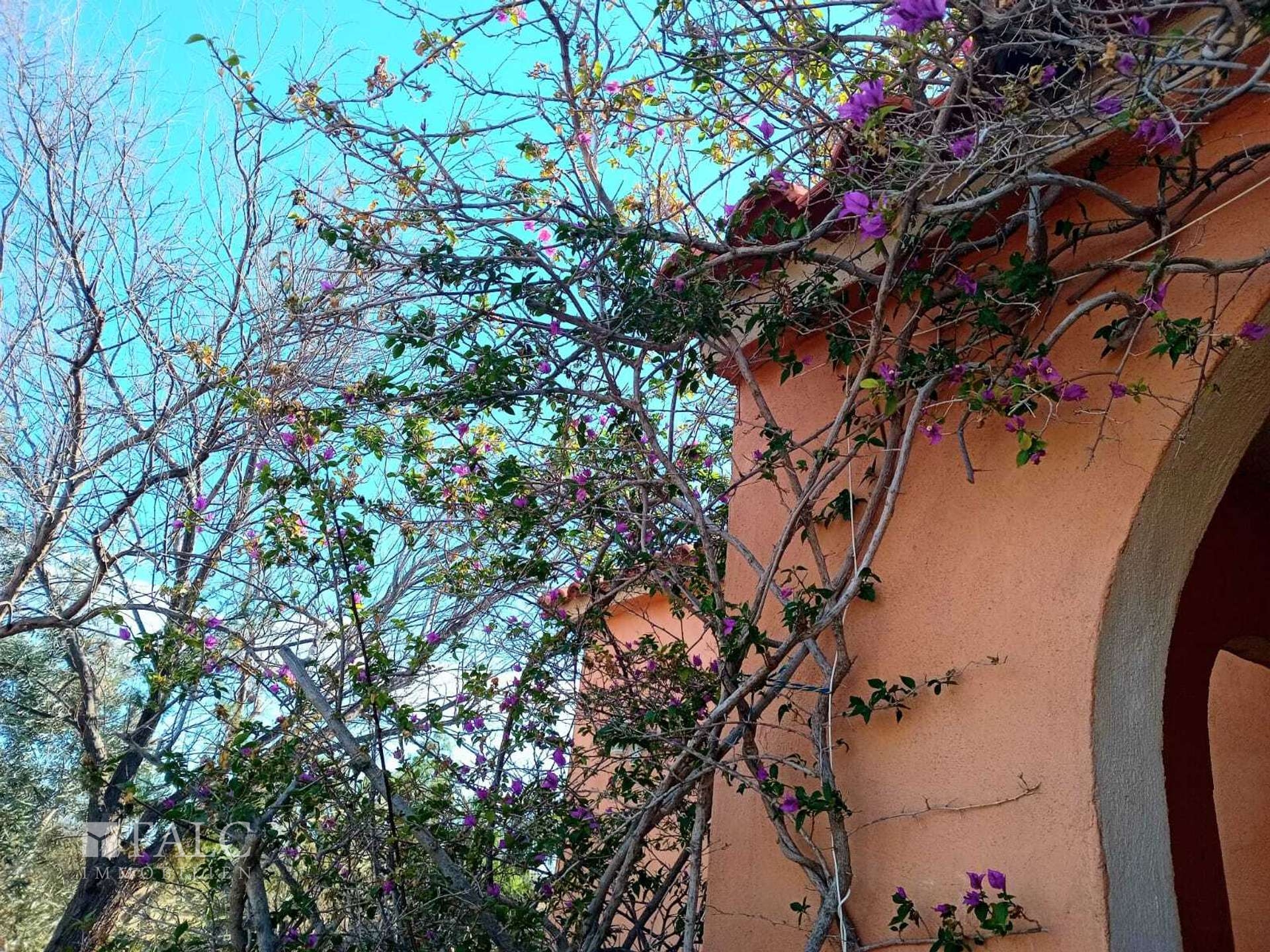 Blumen
